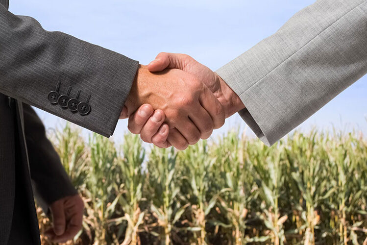 подача заявки