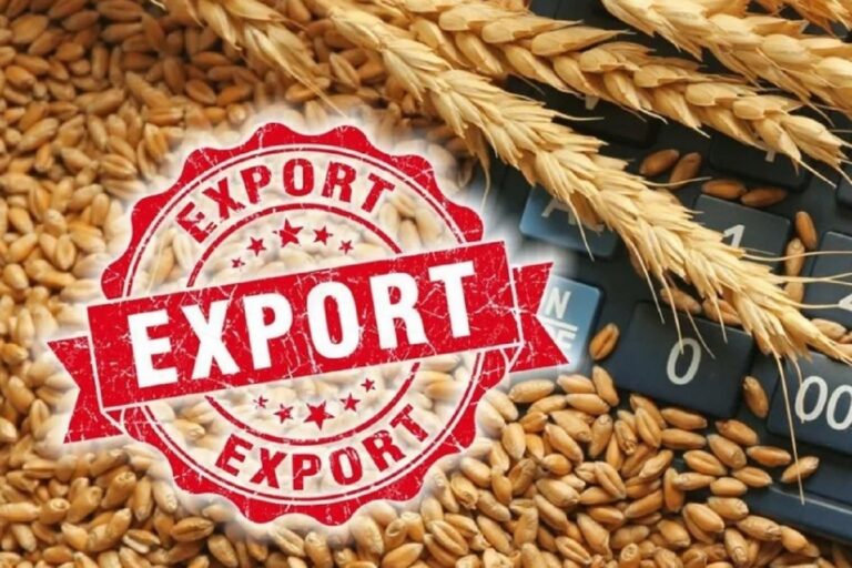 экспорт зерна субсидии