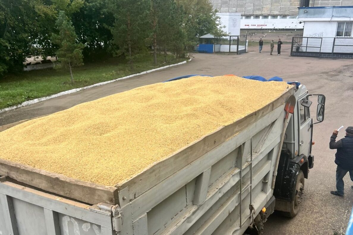 Вакуумдық помпаның көмегімен жыныс мүшесін сору бейне